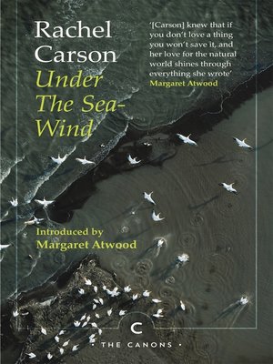 cover image of Under the Sea-Wind